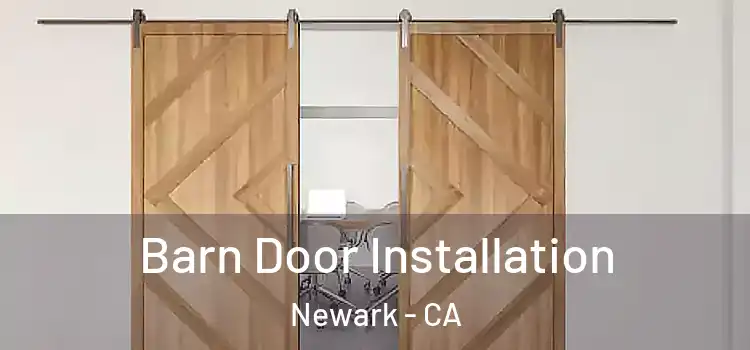  Barn Door Installation Newark - CA