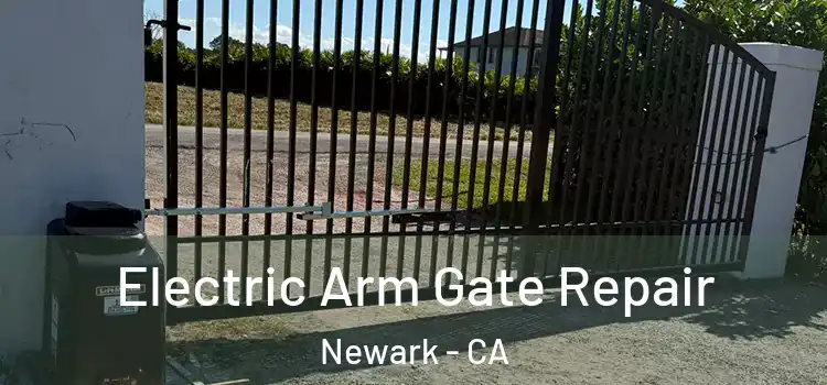 Electric Arm Gate Repair Newark - CA