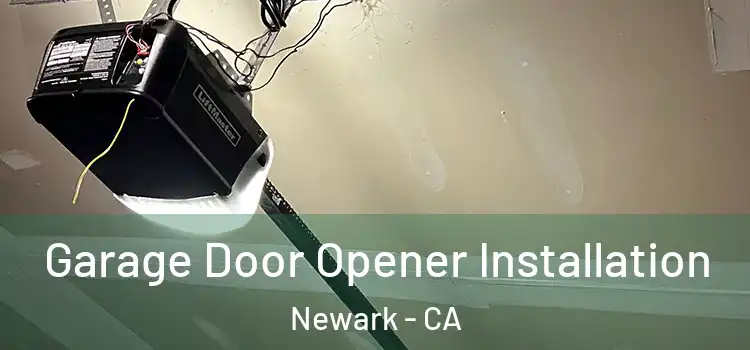  Garage Door Opener Installation Newark - CA
