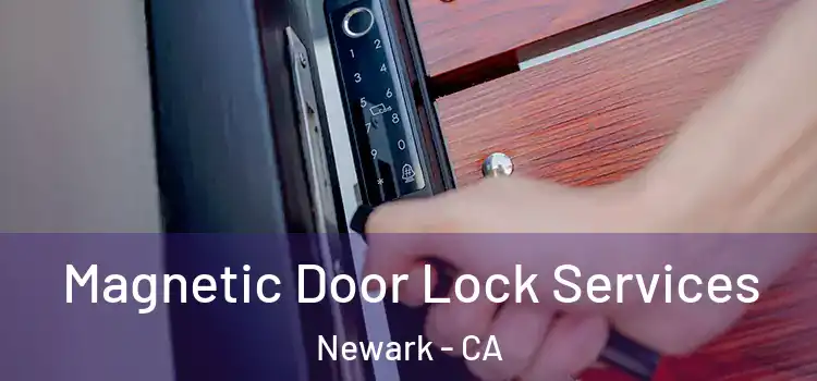  Magnetic Door Lock Services Newark - CA
