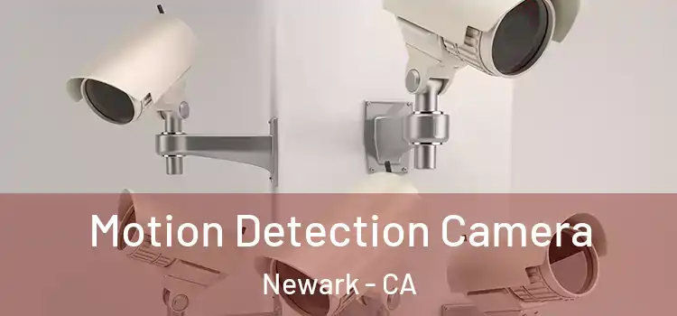  Motion Detection Camera Newark - CA